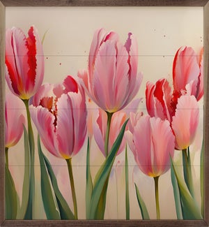 Pink Tulips White